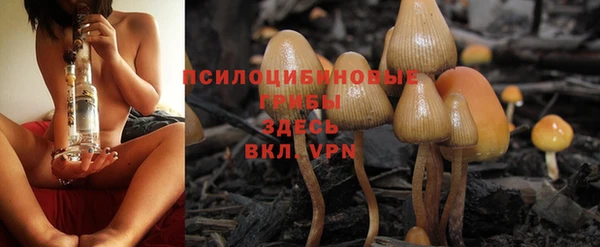 бутират Арсеньев