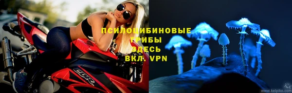ешки Армянск