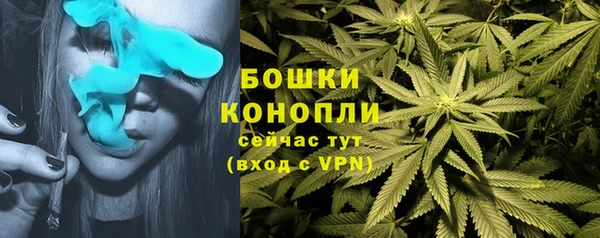 spice Аркадак