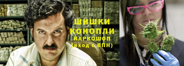spice Аркадак